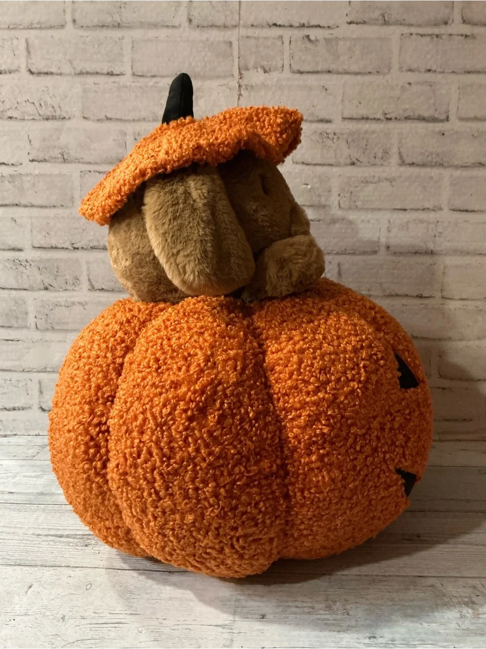HUMANE SOCIETY 21x18 peek a boo halloween dog pillow
